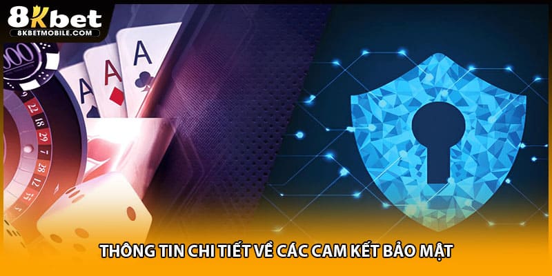 Thông tin chi tiết về các cam kết bảo mật